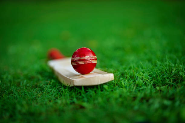 Cricket Fantasy